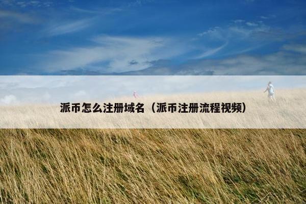 派币怎么注册域名（派币注册流程视频）