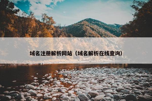 域名注册解析网站（域名解析在线查询）