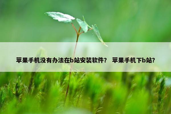 苹果手机没有办法在b站安装软件？ 苹果手机下b站？