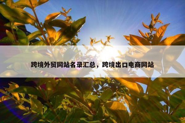 跨境外贸网站名录汇总，跨境出口电商网站