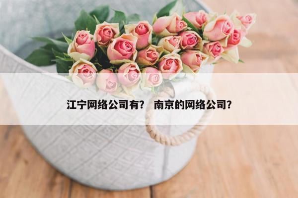 江宁网络公司有？ 南京的网络公司？