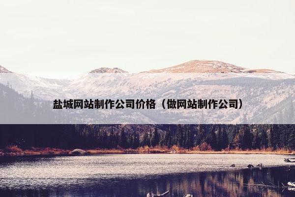 盐城网站制作公司价格（做网站制作公司）