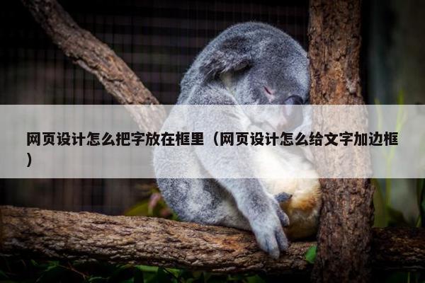 网页设计怎么把字放在框里（网页设计怎么给文字加边框）