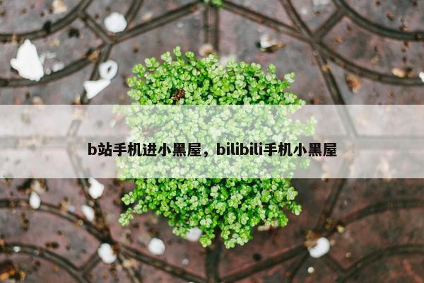 b站手机进小黑屋，bilibili手机小黑屋