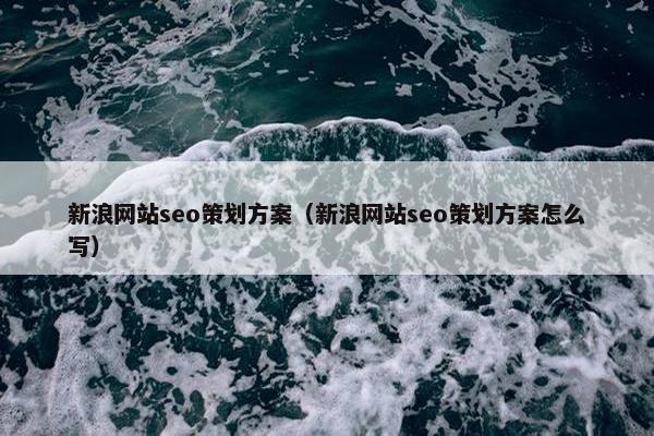 新浪网站seo策划方案（新浪网站seo策划方案怎么写）