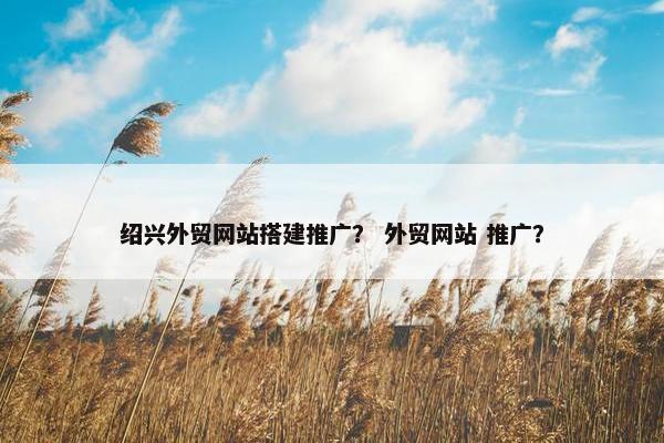 绍兴外贸网站搭建推广？ 外贸网站 推广？