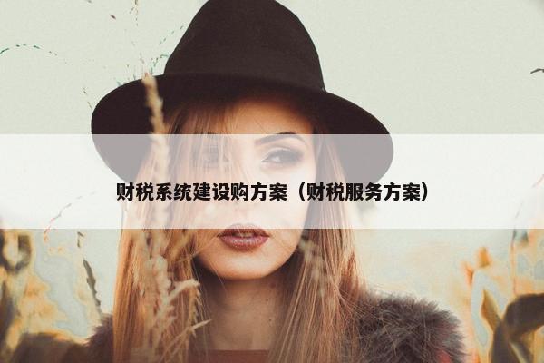 财税系统建设购方案（财税服务方案）
