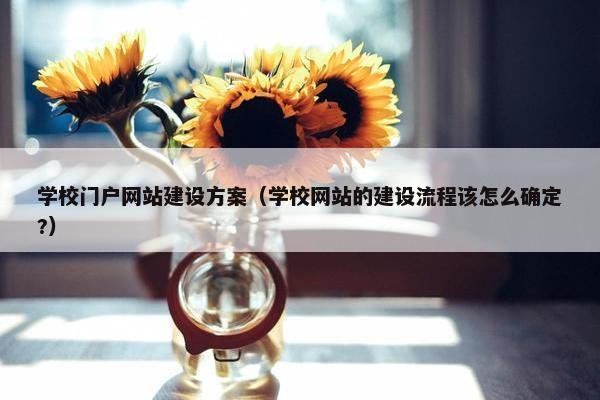 学校门户网站建设方案（学校网站的建设流程该怎么确定?）