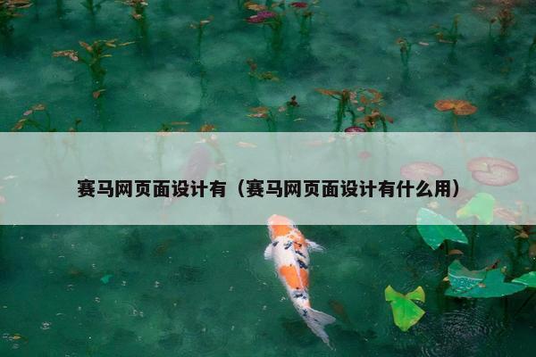 赛马网页面设计有（赛马网页面设计有什么用）