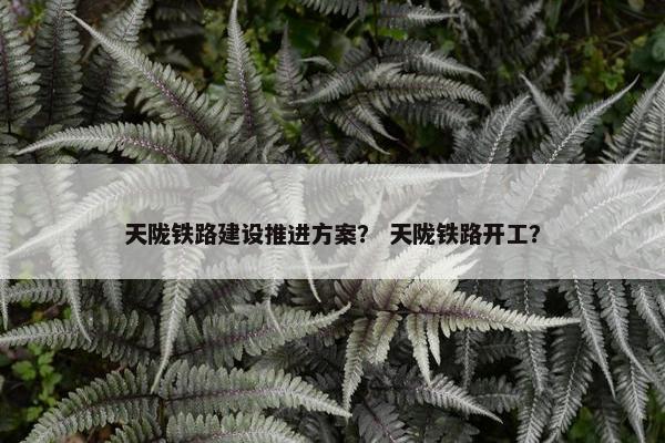 天陇铁路建设推进方案？ 天陇铁路开工？