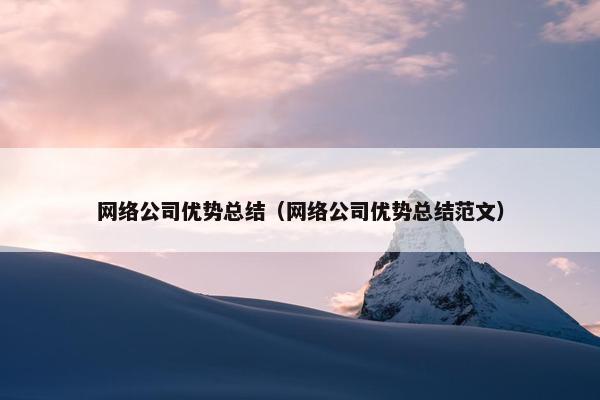 网络公司优势总结（网络公司优势总结范文）