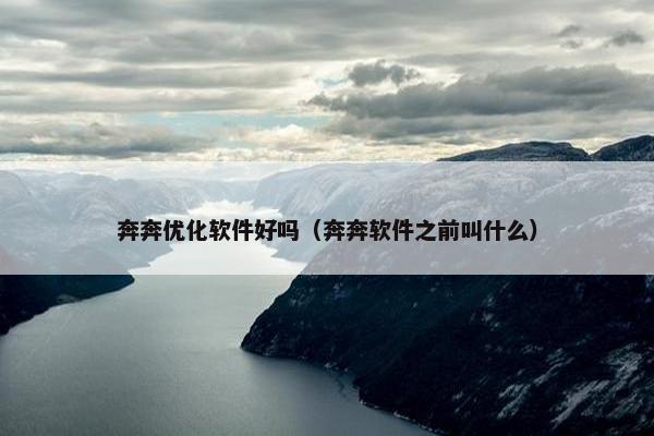 奔奔优化软件好吗（奔奔软件之前叫什么）