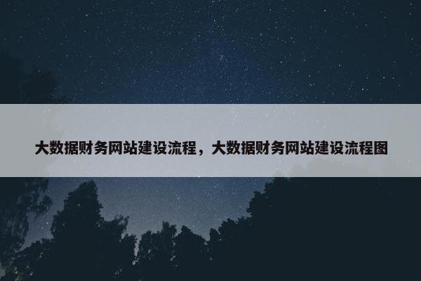 大数据财务网站建设流程，大数据财务网站建设流程图