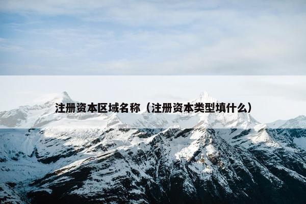 注册资本区域名称（注册资本类型填什么）