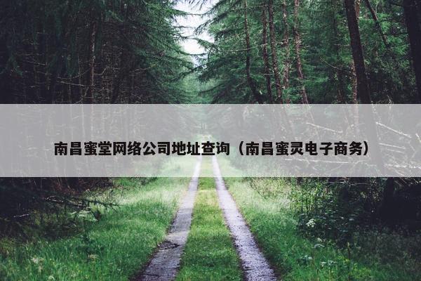 南昌蜜堂网络公司地址查询（南昌蜜灵电子商务）