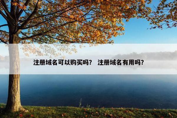 注册域名可以购买吗？ 注册域名有用吗？