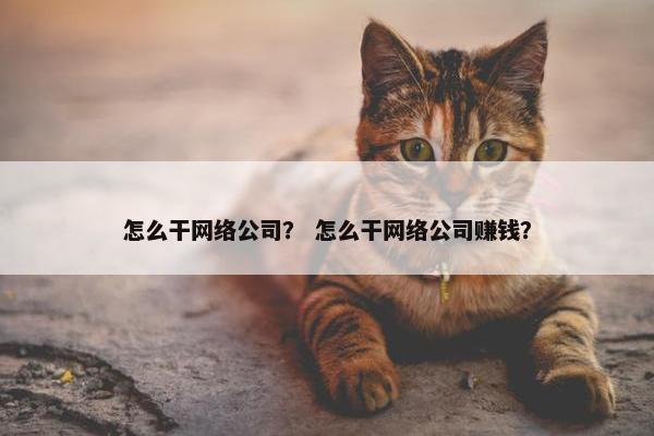 怎么干网络公司？ 怎么干网络公司赚钱？