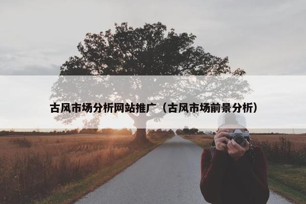 古风市场分析网站推广（古风市场前景分析）