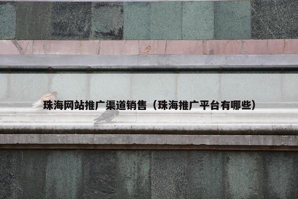 珠海网站推广渠道销售（珠海推广平台有哪些）
