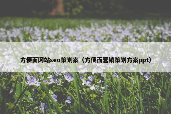 方便面网站seo策划案（方便面营销策划方案ppt）