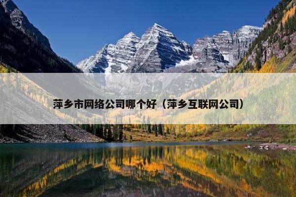 萍乡市网络公司哪个好（萍乡互联网公司）