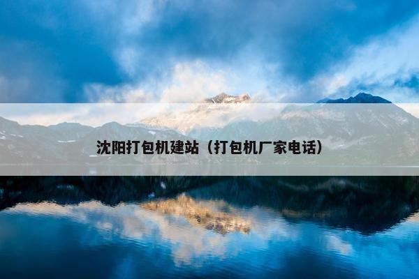 沈阳打包机建站（打包机厂家电话）