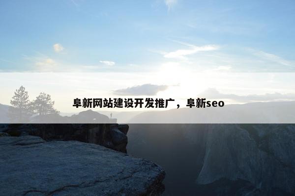 阜新网站建设开发推广，阜新seo