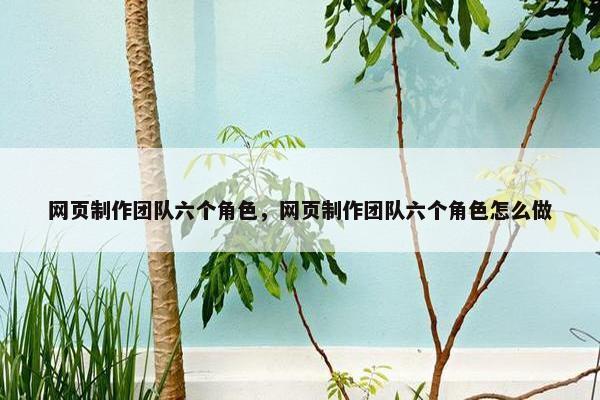 网页制作团队六个角色，网页制作团队六个角色怎么做