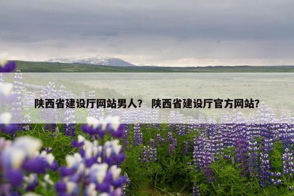 陕西省建设厅网站男人？ 陕西省建设厅官方网站？