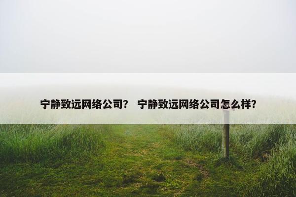 宁静致远网络公司？ 宁静致远网络公司怎么样？