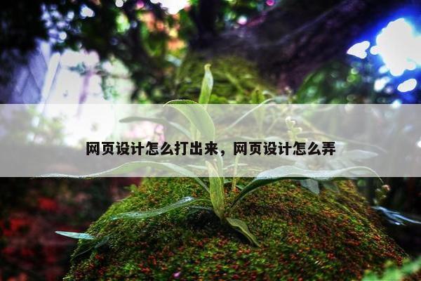网页设计怎么打出来，网页设计怎么弄