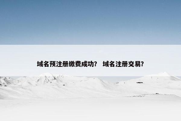 域名预注册缴费成功？ 域名注册交易？