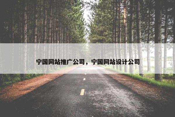 宁国网站推广公司，宁国网站设计公司