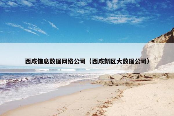 西咸信息数据网络公司（西咸新区大数据公司）