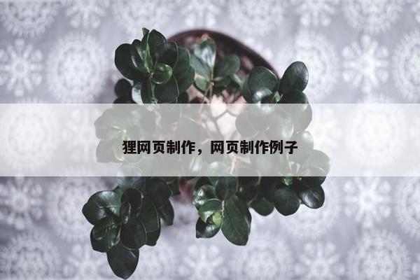 狸网页制作，网页制作例子