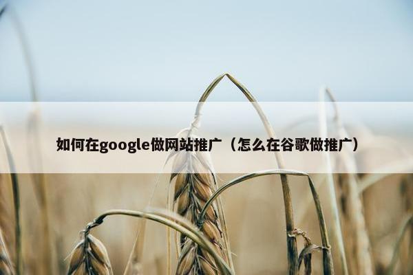 如何在google做网站推广（怎么在谷歌做推广）
