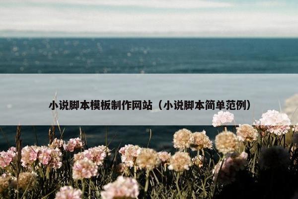 小说脚本模板制作网站（小说脚本简单范例）