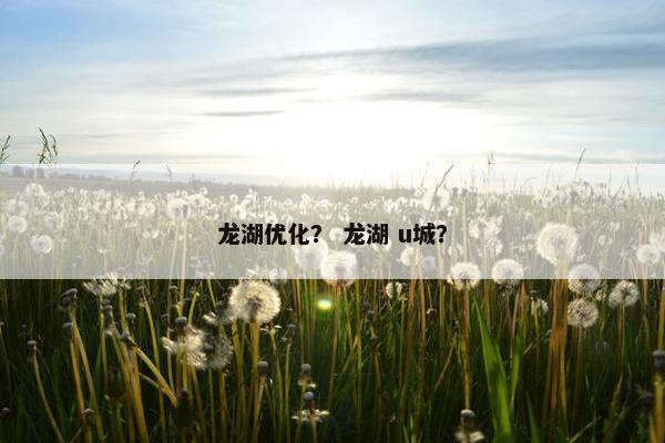 龙湖优化？ 龙湖 u城？