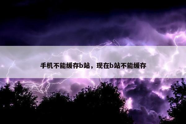 手机不能缓存b站，现在b站不能缓存