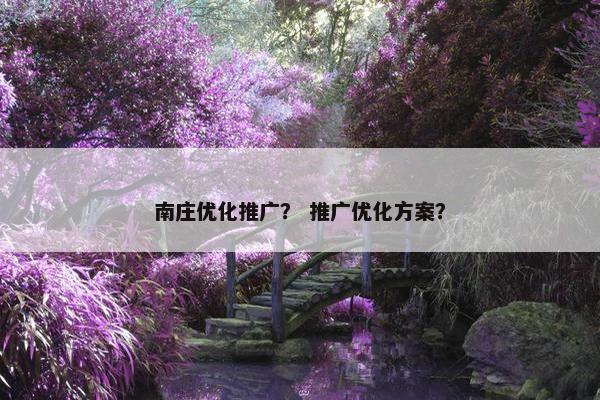 南庄优化推广？ 推广优化方案？