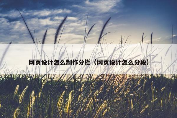 网页设计怎么制作分栏（网页设计怎么分段）
