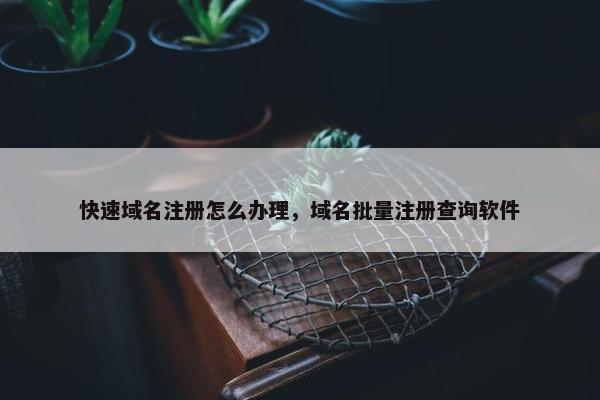 快速域名注册怎么办理，域名批量注册查询软件