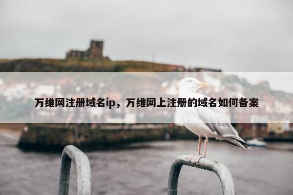 万维网注册域名ip，万维网上注册的域名如何备案