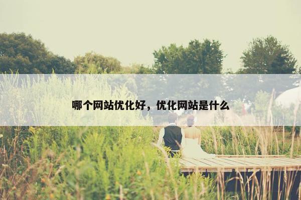 哪个网站优化好，优化网站是什么