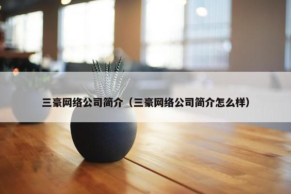 三豪网络公司简介（三豪网络公司简介怎么样）
