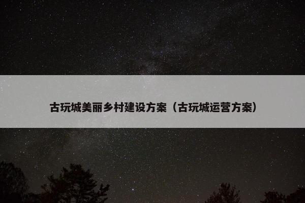 古玩城美丽乡村建设方案（古玩城运营方案）