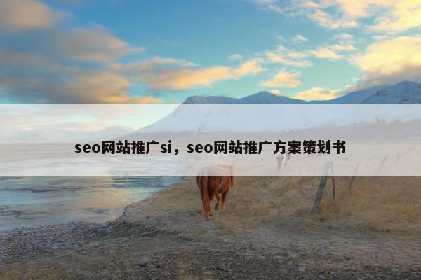 seo网站推广si，seo网站推广方案策划书