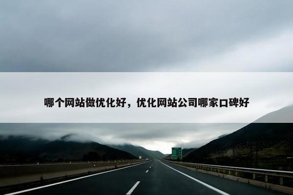 哪个网站做优化好，优化网站公司哪家口碑好
