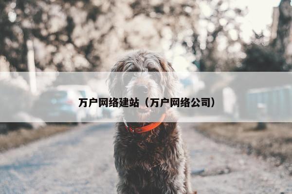 万户网络建站（万户网络公司）