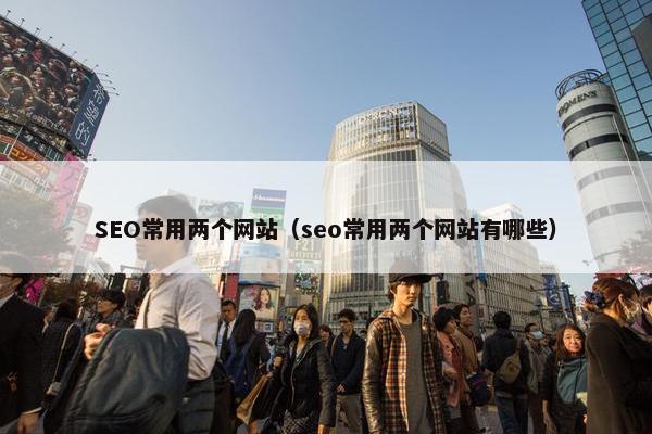 SEO常用两个网站（seo常用两个网站有哪些）